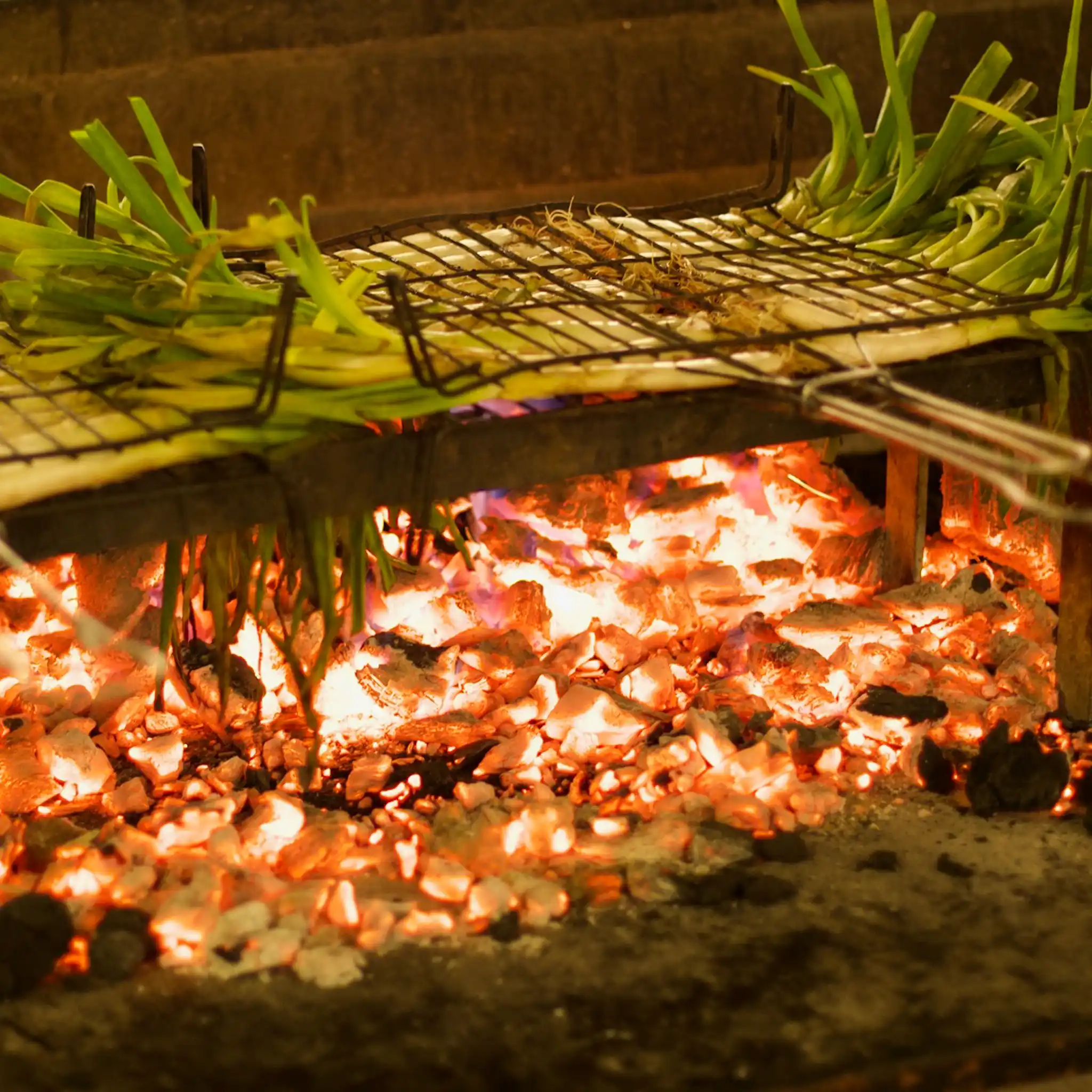 Calçots a la brasa en Valencia.